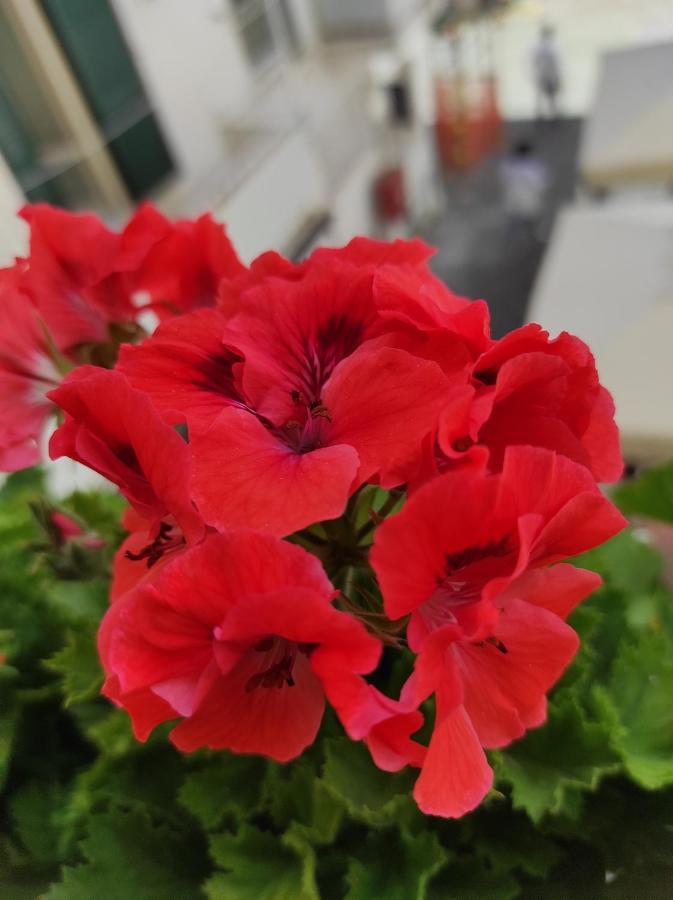 Romantic Getaway In The Heart Of Amalfi Luaran gambar